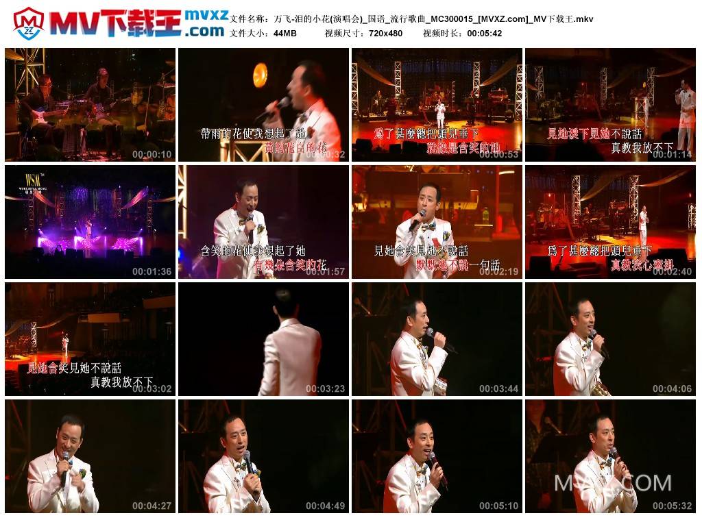 万飞-泪的小花(演唱会)_国语_流行歌曲_MC300015